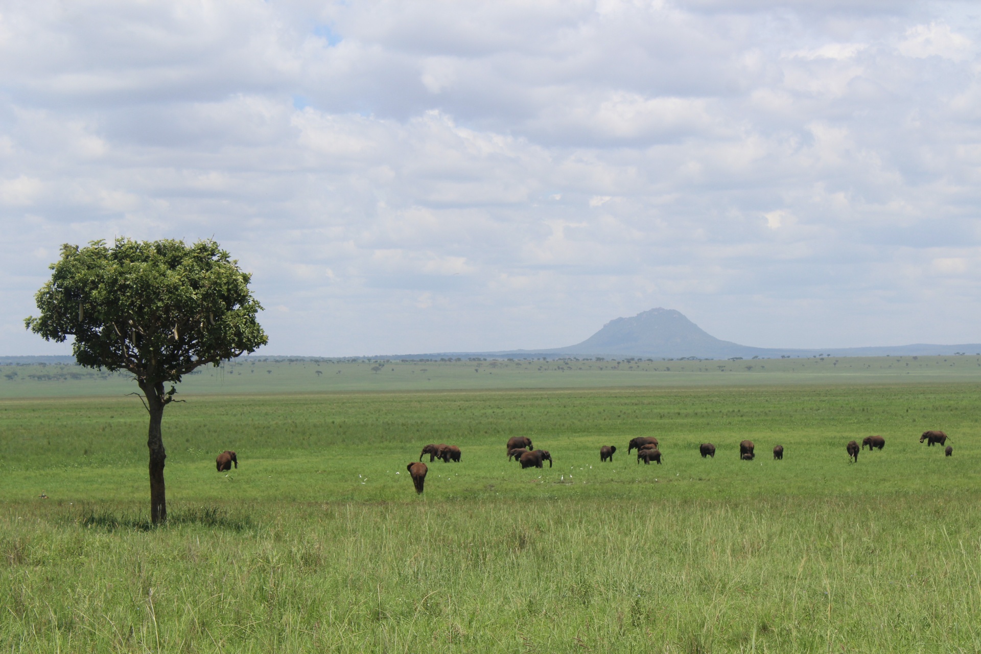 Terrestrial Conservation