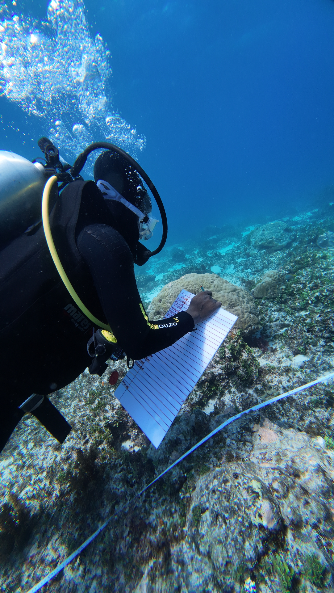 Marine Conservation